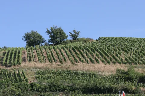 2011-07 Alsace