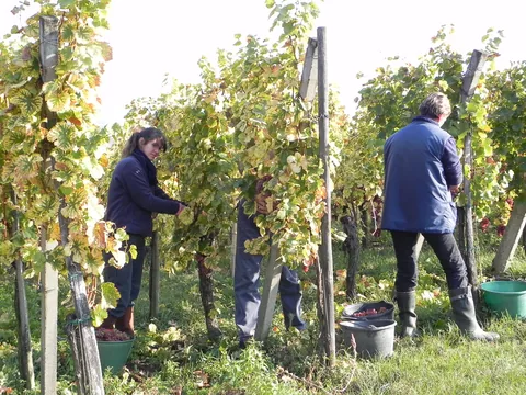Alsace med Cathriine og Karsten.