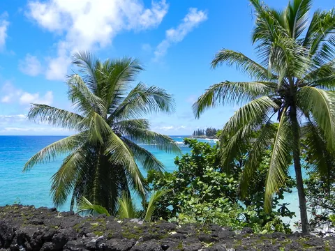 På.tur ad den berømte Road to Hana på vej til, du gættede det, Hana, Maui, Hawaii. Hvis man har tendens til køresyge, så overvej lige en ekstra gang, for vejen er snoet, meget snoet, og meget lang, men man belønnes med smuk natur hele vejen.