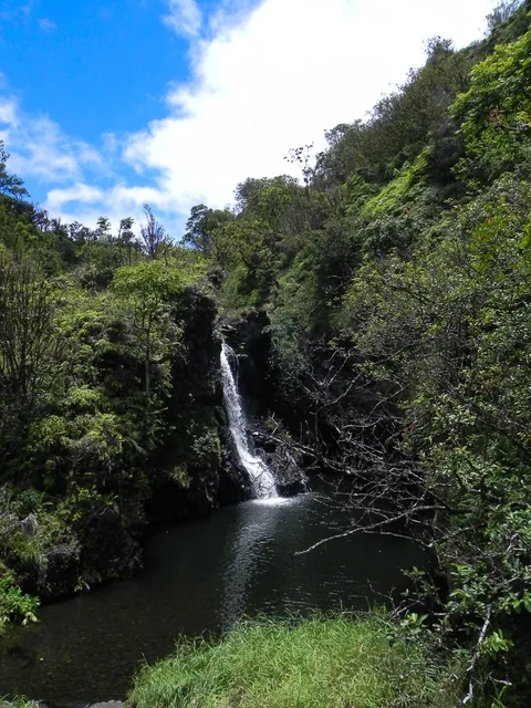 På.tur ad den berømte Road to Hana på vej til, du gættede det, Hana, Maui, Hawaii. Hvis man har tendens til køresyge, så overvej lige en ekstra gang, for vejen er snoet, meget snoet, og meget lang, men man belønnes med smuk natur hele vejen.