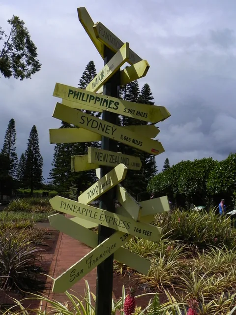 Besøg på Dole Plantation, hvor vi kigger på ananas.