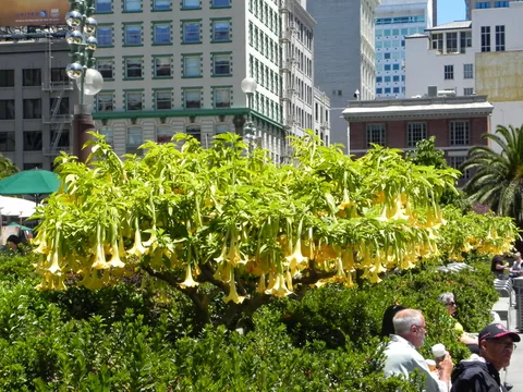 Union Square, San Francisco, Californien, USA