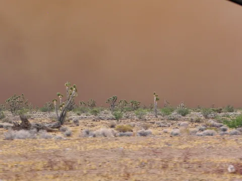 Sandstorm under opsejling på tilbage til Las Vegas