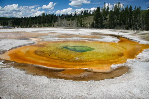 Yellowstone National Parl, Wyoming, USA. Det mest fantastiske og magiske sted i verden, med vandfald, geysere, vilde bjørne, ulve, elge og meget mere. Prøv det en gang, og du bliver afhængig.