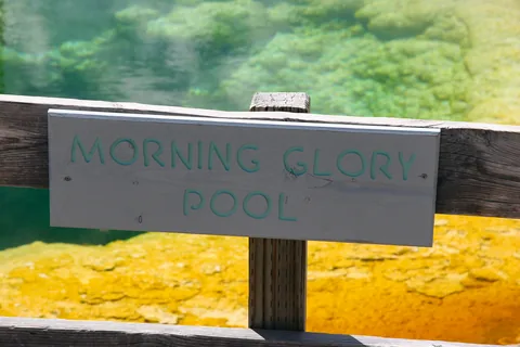 Yellowstone National Parl, Wyoming, USA. Det mest fantastiske og magiske sted i verden, med vandfald, geysere, vilde bjørne, ulve, elge og meget mere. Her The Morning Glory Pool i klare smukke farver.