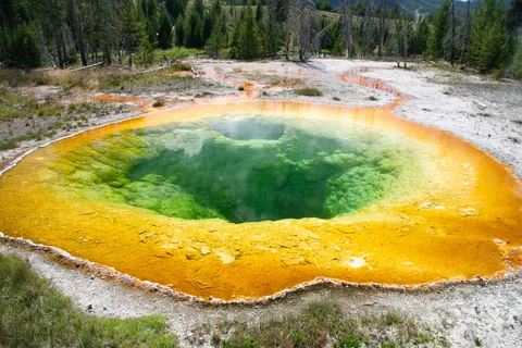 Yellowstone National Parl, Wyoming, USA. Det mest fantastiske og magiske sted i verden, med vandfald, geysere, vilde bjørne, ulve, elge og meget mere. Prøv det en gang, og du bliver afhængig.