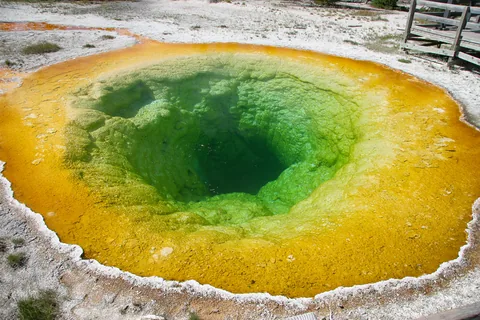 Yellowstone National Parl, Wyoming, USA. Det mest fantastiske og magiske sted i verden, med vandfald, geysere, vilde bjørne, ulve, elge og meget mere. Her The Morning Glory Pool i klare smukke farver.