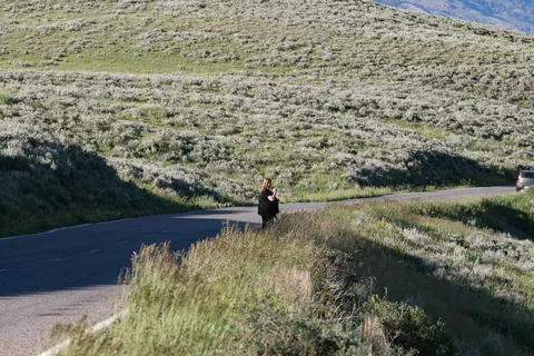 Yellowstone National Parl, Wyoming, USA. Det mest fantastiske og magiske sted i verden, med vandfald, geysere, vilde bjørne, ulve, elge og meget mere. Prøv det en gang, og du bliver afhængig.