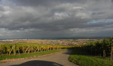 Eguisheim, set fra Husseren-les-Châteaux, Alsace, Frankrig