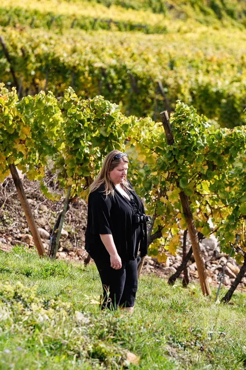 Research i vinmarkerne