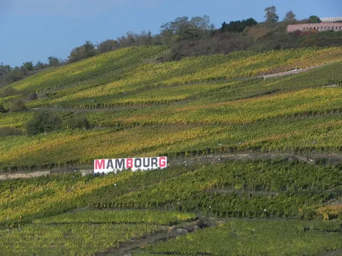 Vin, vin, vin... Vinmarker overalt, er det ikke bare fantastisk?