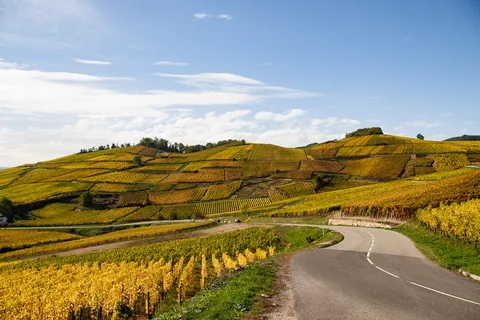Grand Cru Brand, Turckheim, Alsace, Frankrig