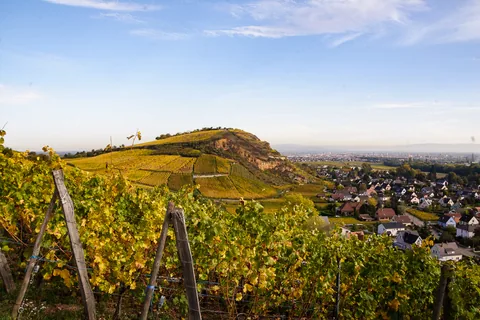 Heimbourg, Turckheim, Alsace, Frankrig