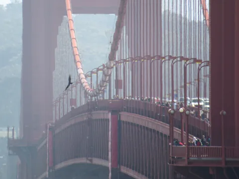 San Francisco, Californien, USA