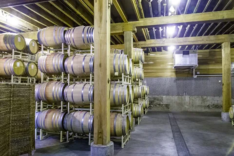 Seghesio Family Vineyards