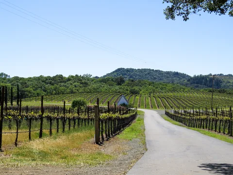 Sonoma Valley, Californien, USA