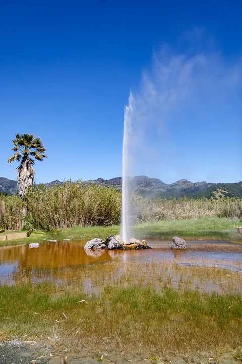 Old Faithful Geyser of California, geyseren findes, og den sprutter regelmæssigt, men lidt af et rip-off for at se den. Så hellere køreturen til Yellowstone National Park, for at se den rigtige.
