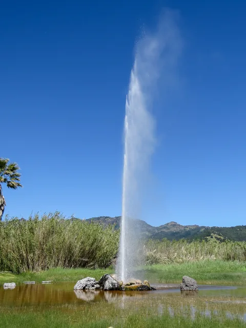 Old Faithful Geyser of California, geyseren findes, og den sprutter regelmæssigt, men lidt af et rip-off for at se den. Så hellere køreturen til Yellowstone National Park, for at se den rigtige.