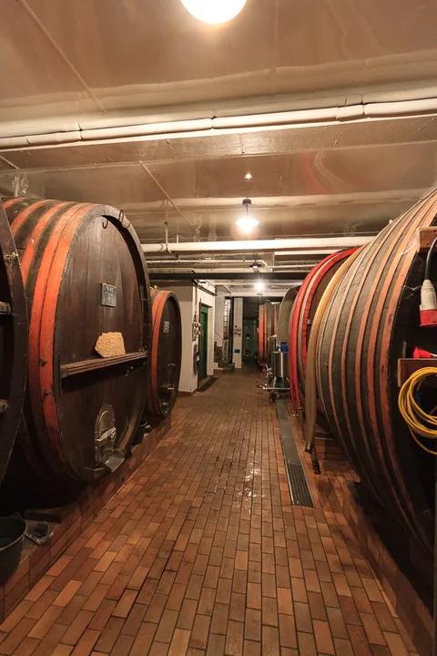 Alsace, Frankrig
