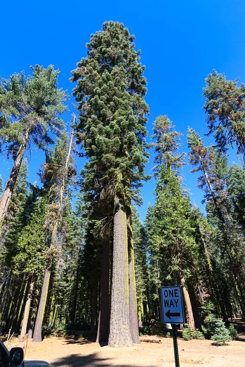 Yosemite National Park, Californien, USA