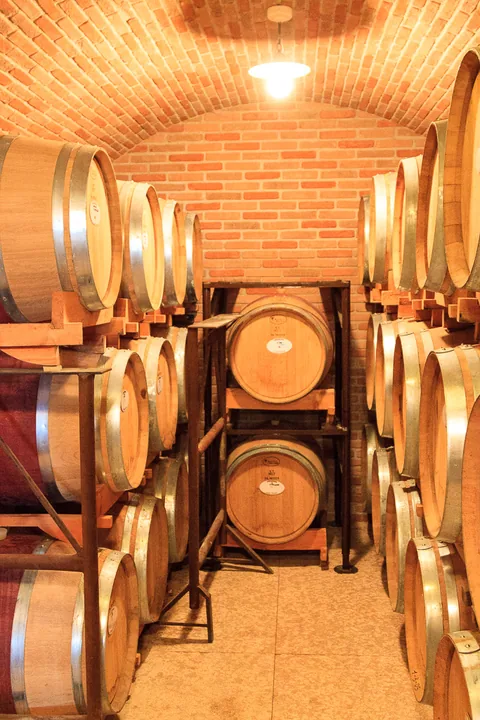 Tenuta Chiccheri, Veneto, USA