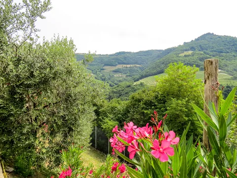 Tenuta Chiccheri, Veneto, USA