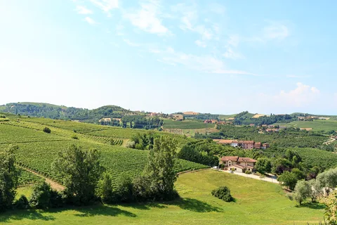 Poderi Luigi Einaudi, Dogliani, Piemonte, Italien
