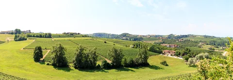 Poderi Luigi Einaudi, Dogliani, Piemonte, Italien