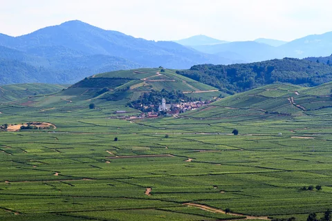Alsace, Frankrig
