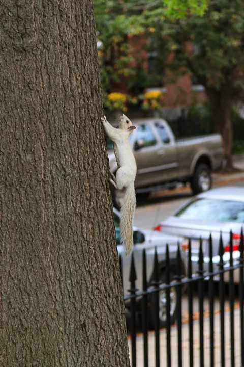 Boston, Massachusetts, USA