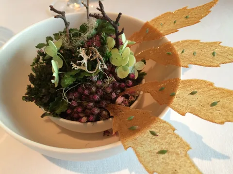 En aften på Restaurant Geranium, 3 stjernet luksusoplevelse i København.