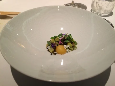 En aften på Restaurant Geranium, 3 stjernet luksusoplevelse i København.