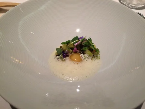 En aften på Restaurant Geranium, 3 stjernet luksusoplevelse i København.