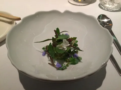 En aften på Restaurant Geranium, 3 stjernet luksusoplevelse i København.