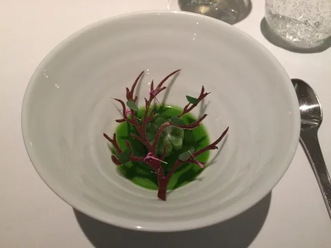 En aften på Restaurant Geranium, 3 stjernet luksusoplevelse i København.