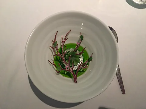 En aften på Restaurant Geranium, 3 stjernet luksusoplevelse i København.