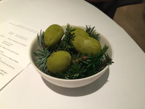 En aften på Restaurant Geranium, 3 stjernet luksusoplevelse i København.