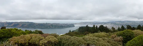 Udsigt fra Signal Hill Lookout, Dunedin, South Island, New Zealand