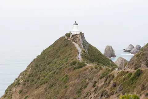 Nuggett Point Lighthouse, South Island, New Zealand