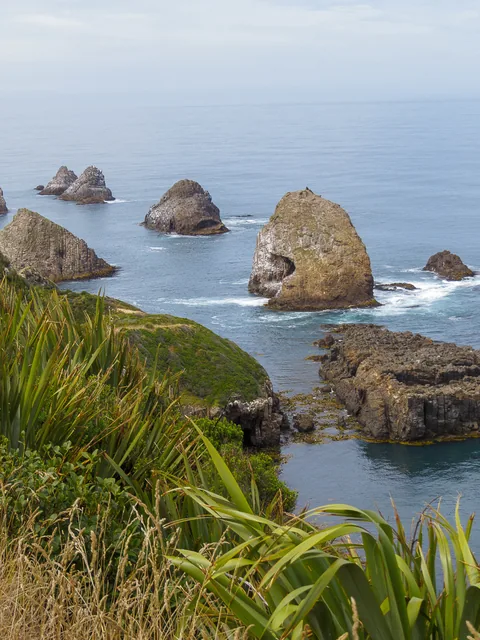 Nuggett Point Lighthouse, South Island, New Zealand