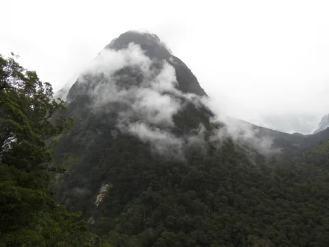 På vej til Milford Sound fra Te Anau, South Island, New Zealand