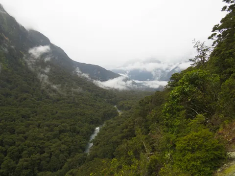 På vej til Milford Sound fra Te Anau, South Island, New Zealand