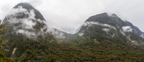 På vej til Milford Sound fra Te Anau, South Island, New Zealand