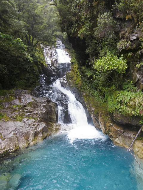 På vej til Milford Sound fra Te Anau, South Island, New Zealand