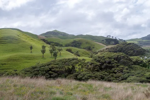 Wharariki, South Island, New Zealand