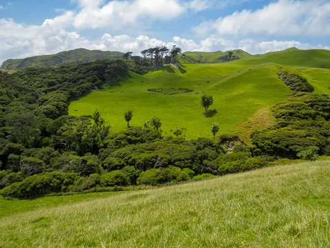 Wharariki, South Island, New Zealand