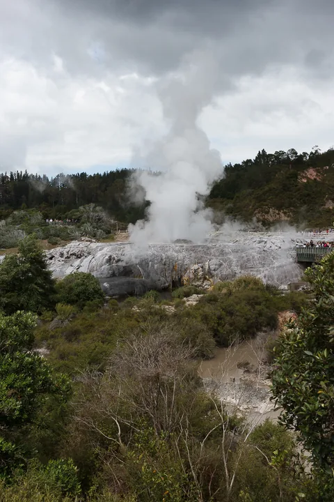 Rotorua, North Island, New Zealand