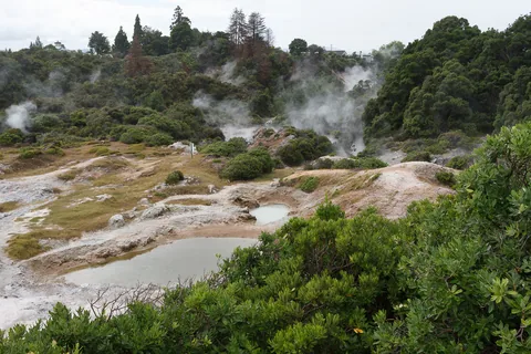 Rotorua, North Island, New Zealand