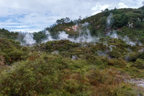 Rotorua, North Island, New Zealand