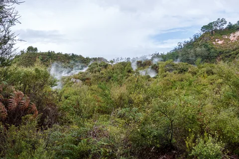 Rotorua, North Island, New Zealand